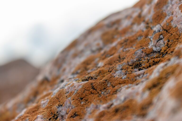 is obernaft for free