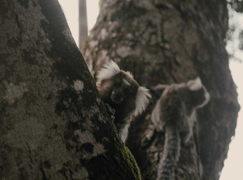 cute:kdsashfocfq= roblox avatar