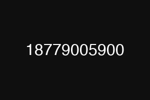 18779005900