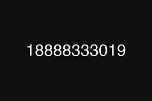18888333019