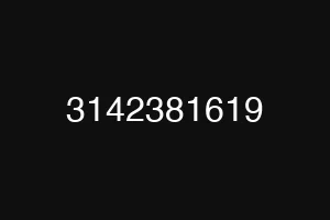3142381619
