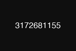 3172681155