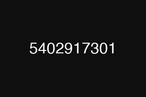 5402917301