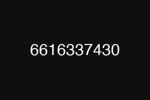 6616337430