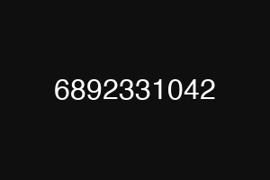6892331042