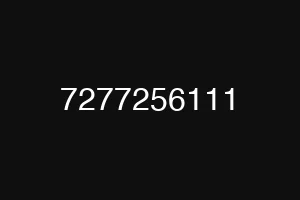 7277256111