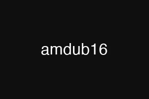 amdub16